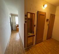 Der Flur einer 2-Zimmer-Wohnung mit einem Boden in Holzoptik, hellen Wänden und einem Spiegel.
