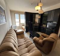 Wohnzimmer in einer 2-Zimmer-Wohnung mit einem bequemen Sofa und einer Schrankwand.