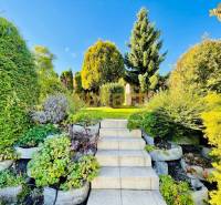 Treppen, die in den Garten eines Einfamilienhauses führen, umgeben von Grün und Bäumen.