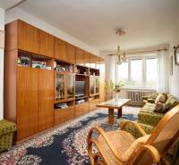 Wohnzimmer mit Teppich, Holzmöbeln und großem Fenster in einer 3-Zimmer-Wohnung.