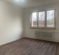 Ein Zimmer mit weißen Wänden, einem Boden in Holzoptik und einem großen Fenster in einer 2-Zimmer-Wohnung.