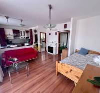 Wohnzimmer mit rotem Sofa, Glastisch und Küche in einer Einzimmerwohnung.