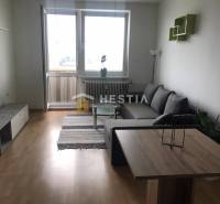 Wohnzimmer in einer 2-Zimmer-Wohnung mit Holzboden und Sofa.