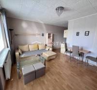 Wohnzimmer in einer 2-Zimmer-Wohnung mit Holzboden.