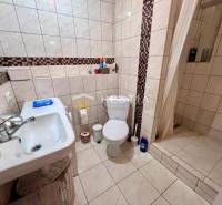 Badezimmer in einer 2-Zimmer-Wohnung mit Toilette, Dusche und Waschbecken.