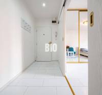 Heller Flur mit Fliesen in einer Einzimmerwohnung. Eingang zum Wohnzimmer.
