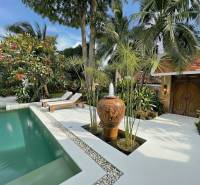 Blick auf eine Luxusvilla in Pattaya mit Pool und exotischem Garten.