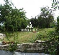 Der Garten beim Einfamilienhaus in Goncruszka mit alten Bäumen und einer Steinmauer.