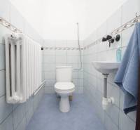 Ein Badezimmer mit blauen Fliesen, Toilette und Waschbecken in einem Einfamilienhaus.