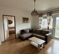 Wohnzimmer in einer 3-Zimmer-Wohnung mit Sofa und Boden in Holzoptik.