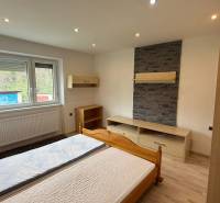 Schlafzimmer mit Steinverkleidung und Holzboden in einer 3-Zimmer-Wohnung.