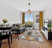Wohnzimmer in einer 2-Zimmer-Wohnung mit Holzboden, Sofa und Esstisch.