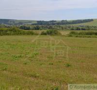 Landwirtschaftliche und forstwirtschaftliche Grundstücke in Šandali mit einer weitläufigen Wiese und entfernten Wäldern.