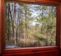 Blick aus dem Fenster auf die Wälder in den Erholungsgebieten in Holčíkovce.