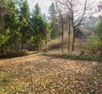 Herbstlandschaft der Erholungsgebiete in Holčíkovce voller bunter Blätter und Bäume.