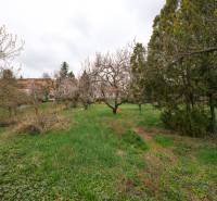 Garten rund um das Einfamilienhaus in der Zelenečská Straße in Trnava mit Obstbäumen.