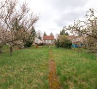 Vorgarten mit Obstbäumen bei einem Einfamilienhaus in der Zelenečská-Straße in Trnava.