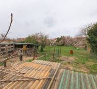 Ein Garten mit einem Schuppen und Bäumen hinter einem Einfamilienhaus in der Zelenečská-Straße in Trnava.