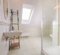Badezimmer mit Dusche und Dachfenster in einer 2-Zimmer-Wohnung.