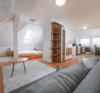 Helles Interieur einer 2-Zimmer-Wohnung mit Holzboden und Kochnische.