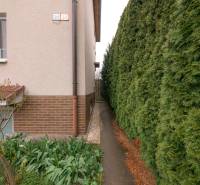In der Nähe der Osloboditeľov-Straße in Trenčín befindet sich ein Gehweg neben einer gepflegten Hecke.