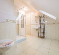 Badezimmer mit Toilette, Duschkabine und Waschbecken in einer 2-Zimmer-Wohnung mit Dachboden.