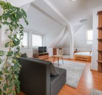 Dachgeschosswohnung mit 2 Zimmern, Sofa, Bett und Holzboden.