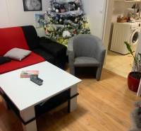 Wohnzimmer mit Weihnachtsbaum, Sofa, Tisch und Holzboden in einer Zweizimmerwohnung.