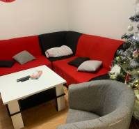 Ein Wohnzimmer in einer Zweizimmerwohnung mit Polstermöbeln und Weihnachtsdekorationen.