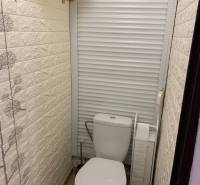 Toilette mit Schiebetüren und dekorativer Wand in einer 2-Zimmer-Wohnung.