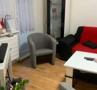 Wohnzimmer in einer 2-Zimmer-Wohnung mit bunten Möbeln und einem Boden in Holzoptik.