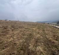 Ein grasbewachsenes, mit Klee bedecktes Grundstück zum Wohnen in Stará Ľubovňa mit sichtbarem Auto und Straße.
