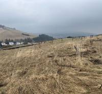 Grundstücke - Wohnen in Stará Ľubovňa auf leicht abschüssigem Gelände.