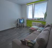 Wohnzimmer in einer Einzimmerwohnung mit Holzboden und einem älteren Fernseher.