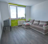 Wohnzimmer in einer Einzimmerwohnung mit Sofa und Holzboden.