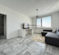 Wohnzimmer in einer 2-Zimmer-Wohnung mit Holzboden und grauem Sofa.