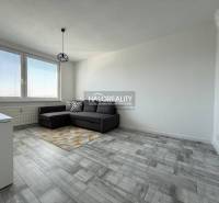 Wohnzimmer in einer 2-Zimmer-Wohnung mit Holzboden und grauem Sofa.
