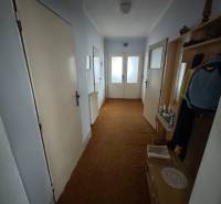 Der Flur in einem Einfamilienhaus mit braunem Teppich und weißen Türen.