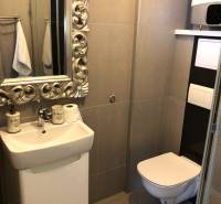 Badezimmer in einer 2-Zimmer-Wohnung mit einem zeitlosen Spiegel, Waschbecken und hängendem WC.