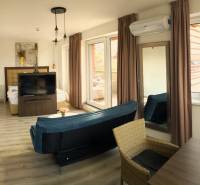 Helle 2-Zimmer-Wohnung mit Holzboden, Sofa und großen Fenstern.