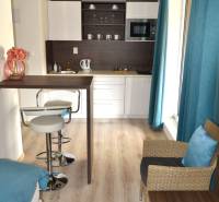 Küche in einer 2-Zimmer-Wohnung mit Bartresen und Boden in Holzoptik.