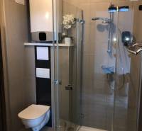 Badezimmer in einer 2-Zimmer-Wohnung mit Duschkabine und Toilette, elegante Dekoration.