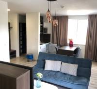 Wohnzimmer in einer Zweizimmerwohnung mit Sofa und Esstisch; Boden mit Holzdekor.