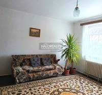 Wohnzimmer in einem Einfamilienhaus mit Teppichen, Sofa und Zimmerpflanze.