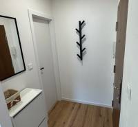 Flur mit Holzboden, Spiegel und Garderobe in einer Einzimmerwohnung.