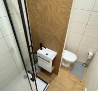 Badezimmer in einer Einzimmerwohnung mit Holzboden und Duschkabine.