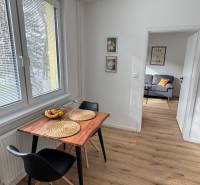 Essbereich in einer Einzimmerwohnung mit Holzboden und einfacher Einrichtung.
