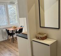 Einfacher Flur mit Spiegel und Blick in die Küche, in einer Einzimmerwohnung.