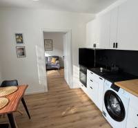 Küche in einer Einzimmerwohnung mit Ausstattung und Boden in Holzoptik.