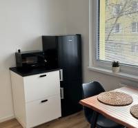 Küche in einer Einzimmerwohnung mit Kühlschrank, Tisch und Boden in Holzoptik.